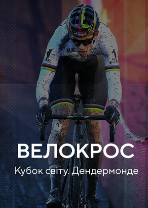Велокрос. Кубок світу. Дендермонде