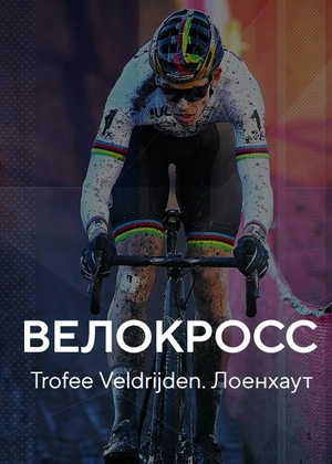 Велокросс. Trofee Veldrijden. Лоенхаут