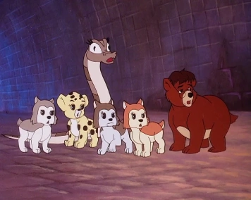 Simba Junior goes to new york