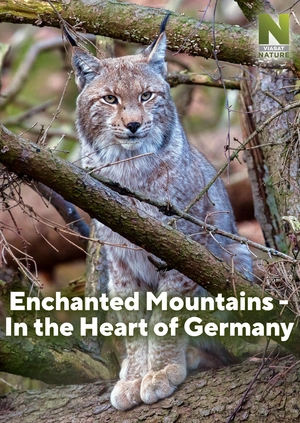 Enchanted Mountains - In the Heart of Germany