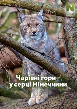 Чарівні гори – у серці Німеччини