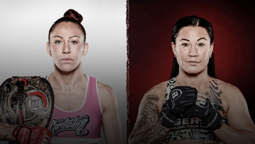 Кріс Сайборг — Аріен Бленкау