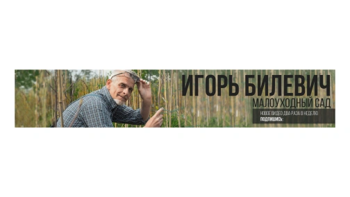 Про войну с Украиной 2 / Игорь Билевич