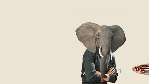 Як ставити запитання