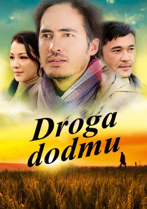 Droga do domu — plakat