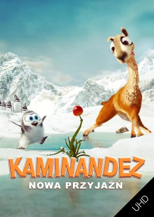 Caminandez: Nowa przyjaźń UHD