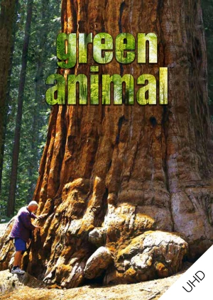 Green Animal UHD