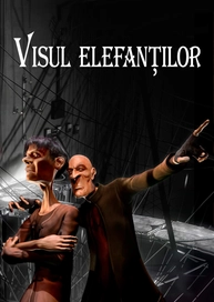Visul elefanților
