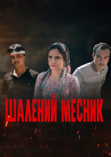 Божевільний месник