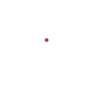 Zoom TV HD