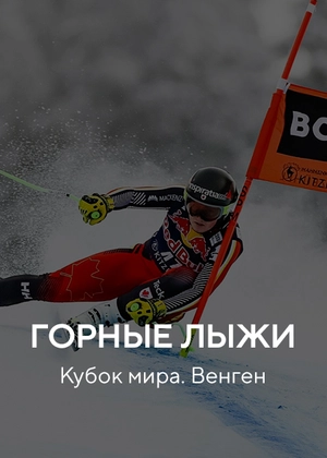 Горные лыжи. Кубок мира. Венген
