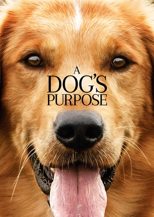 A Dog’s Purpose