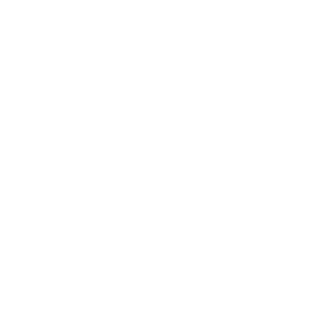Lifestyle by Binge