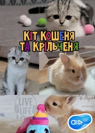 Кіт Кошеня та Крільченя