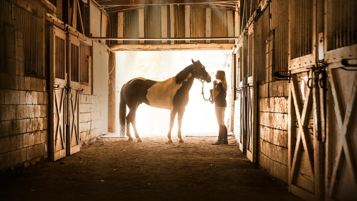 Сердце чемпиона (жестовым языком)