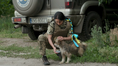 Серія 3