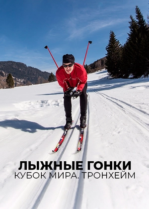 Лыжные гонки. Кубок мира. Тронхейм