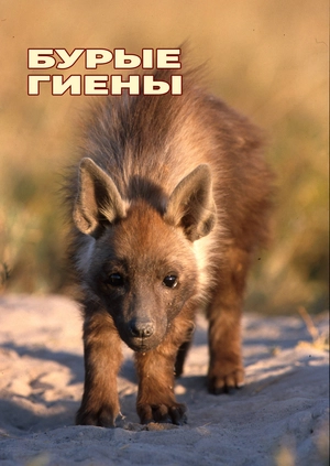 Бурые гиены