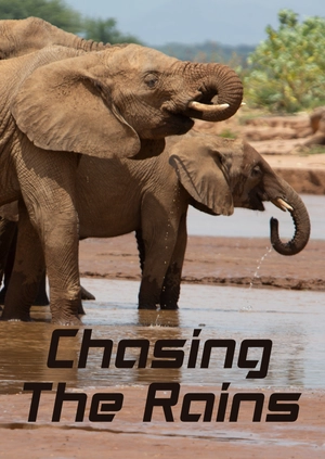 Chasing the Rains