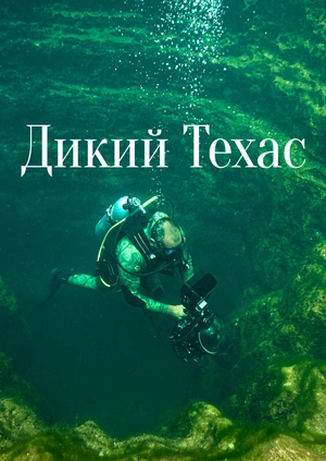 Дикий Техас