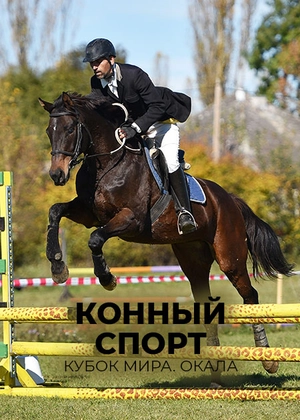 Конный спорт. Кубок мира. Окала