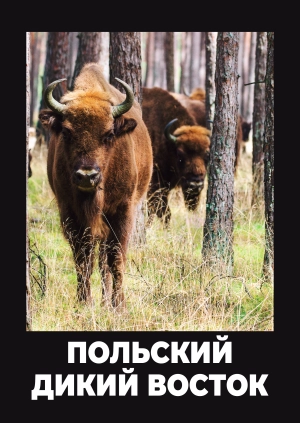 Польский Дикий Восток