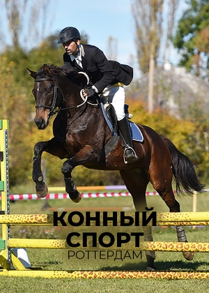 Конный спорт. Роттердам