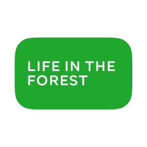 Life in the Forest