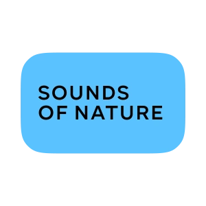 Sounds of Nature
