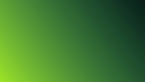 Olimpija Ljubljana — Polissya. Conference League. 2nd Qualifying Round. Highlights