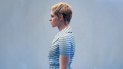 Проти всіх ворогів: Історія Джин Сіберг