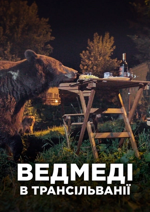 Ведмеді в Трансільванії