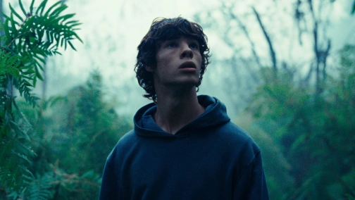 Королівство тварин