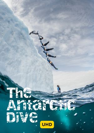 The Antarctic Dive UHD — plakat