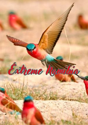 Extreme Namibia