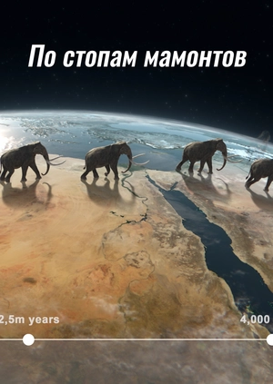 По стопам мамонтов
