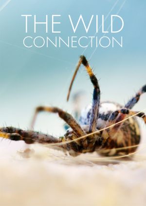 The Wild Connection — plakat