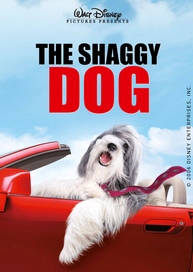 The Shaggy Dog