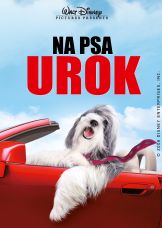 Na psa urok — plakat