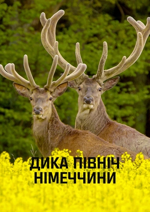 Дика північ Німеччини