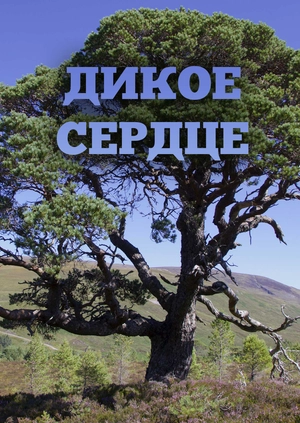 Дикое сердце