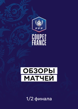 Кубок Франции. 1/2 финала. Обзоры матчей