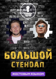 Большой стендап (жестовым языком)