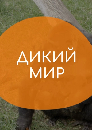 Дикий Мир