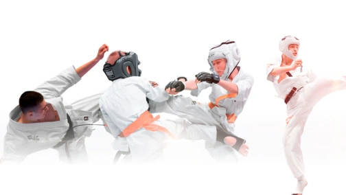 Киокушинкай каратэ. Всеукраинский турнир «Бойцы нации 2»