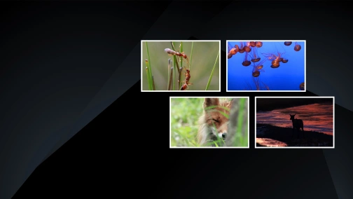 Боротьба за виживання