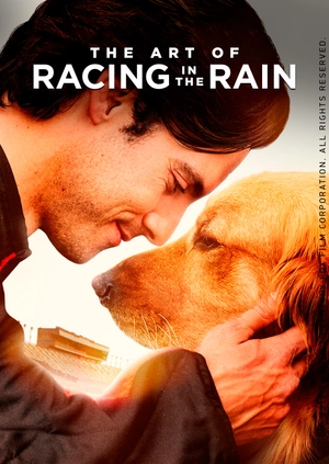 The Art of Racing in the Rain