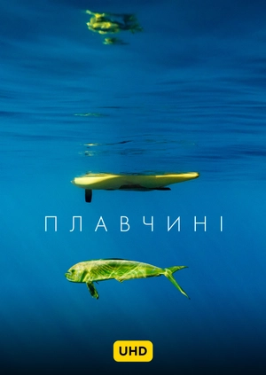 Пловчихи UHD