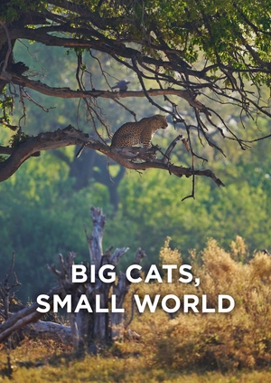 Big Cats, Small World