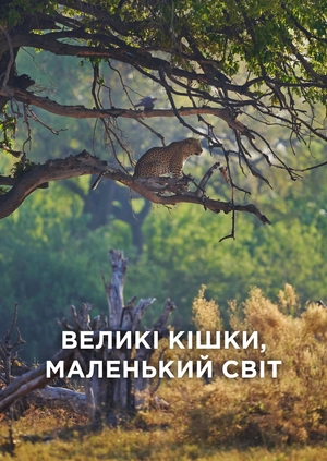 Великі кішки, маленький світ